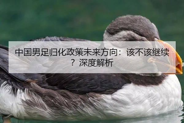 中国男足归化政策未来方向：该不该继续？深度解析